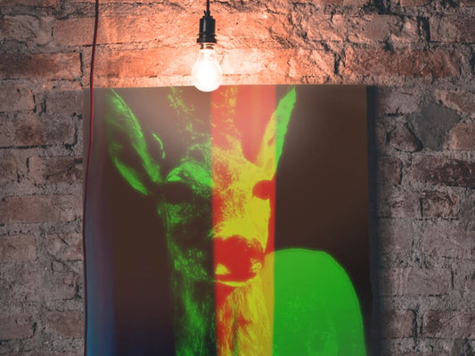 Yellow Line Deer Wallart